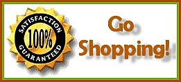 GoShoppingNew